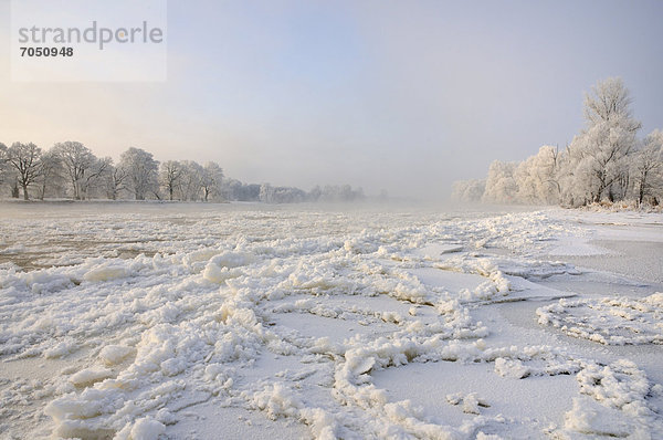 Schnee und Eis auf der Elbe  bei Dessau-Roßlau  Sachsen-Anhalt  Deutschland  Europa