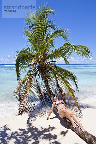 Junge Frau liegt auf einer Kokospalme am Strand  Anse La Passe  Insel Silhouette  Seychellen  Afrika  Indischer Ozean