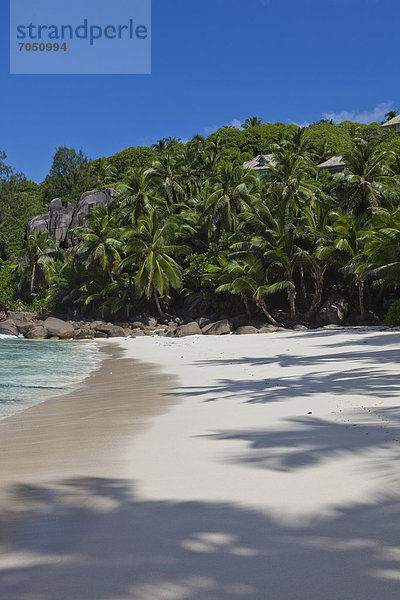 Sandstrand mit Kokospalmen (Cocos nucifera)  Anse Intendance  Mahe  Seychellen  Afrika  Indischer Ozean