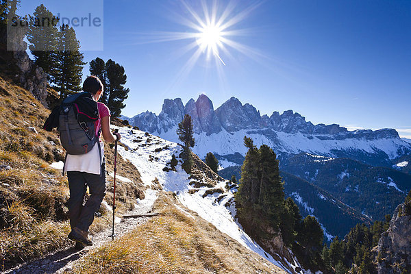 Bergsteigerin beim Herrensteig  Kofelwiesen im Villnösstal  hinten die Geislerspitzen  Südtirol  Italien  Europa
