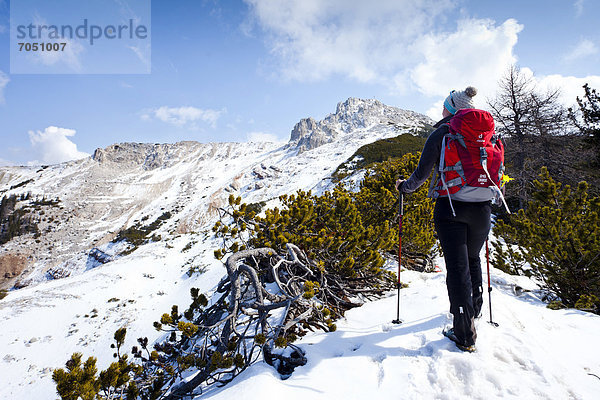 Wanderer beim Aufstieg zum Weißhorn von Radein über den Zirmsteig  oberhalb der Bletterbachschlucht  hinten der Gipfel  Südtirol  Italien  Europa