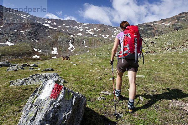Wanderer beim Aufstieg zur Gleckspitz im hintersten Ultental  hinten der Gipfel der Gleckspitz  Ultental  Südtirol  Italien  Europa