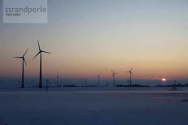 Windturbine Windrad Windräder Europa Winter Sonnenuntergang Wind Brandenburg Deutschland Nauen