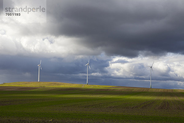 Windturbine Windrad Windräder zwischen inmitten mitten Europa Brandenburg Deutschland Nauen