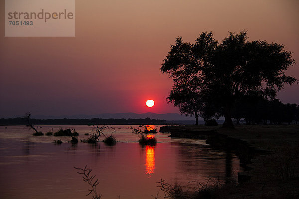Sonnenuntergang über dem Sambesi  Zambezi  Mana Pools Nationalpark  Simbabwe  Afrika