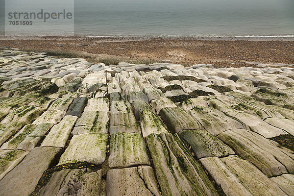 Von Wasser abgetragene Steine als Küstenschutz  Portsmouth  Hampshire  England  Großbritannien  Europa