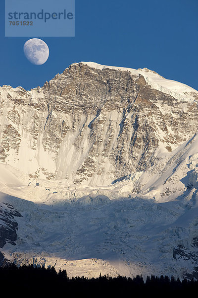 Mond über Jungfrau  Berner Oberland  Schweiz  Europa