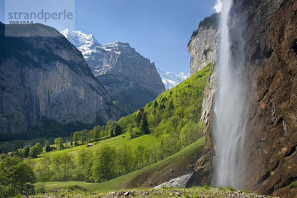 Staubbachfall bei Lauterbrunnen mit Blick auf die Berner Alpen  Berner Oberland  Schweiz  Europa
