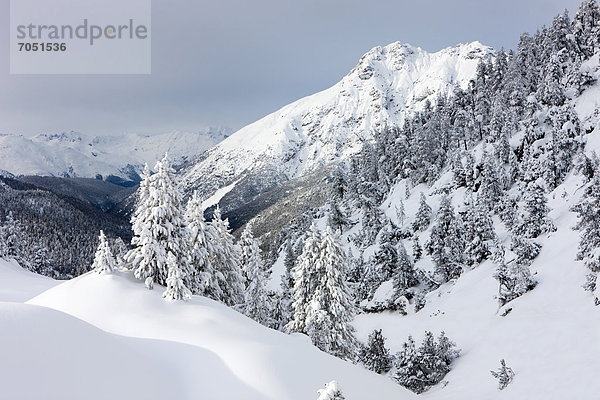 Winterlandschaft  Ofenpass  Schweizerischer Nationalpark  Graubünden  Schweiz  Europa