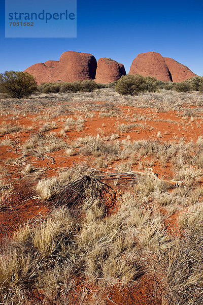 Olgas  Katja Tjuta  Uluru Nationalpark  Northern Territory  Australien