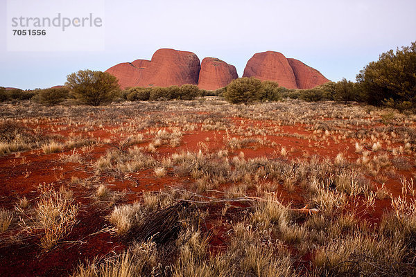 Olgas  Katja Tjuta  Blaue Stunde  Uluru Nationalpark  Northern Territory  Australien