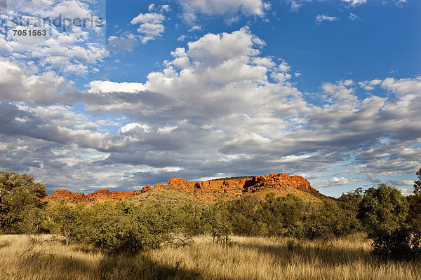 Watarrka Nationalpark  Northern Territory  Australien