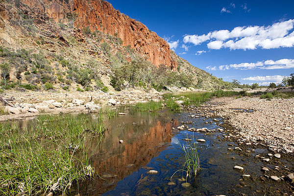 Glen Helen Gorge im West MacDonnell Nationalpark  Northern Territory  Australien