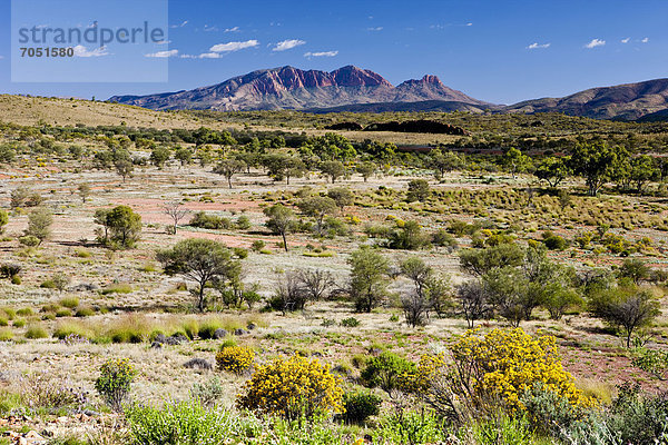 Mt. Sonder  West MacDonnell Nationalpark  Northern Territory  Australien