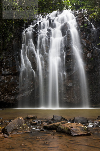 Ellinja Wasserfall in den Atherton Tablelands  Queensland  Australien