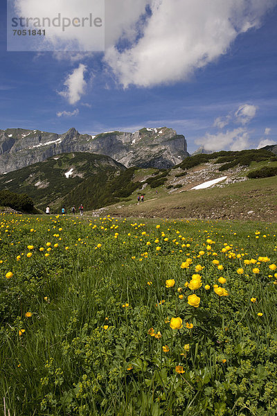 Bergwanderer im Rofangebirge  Tirol  Österreich  Europa