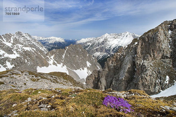 Blick vom Hafelekar nach Nord-Westen  hinten links das Wettersteingebirge  die Pleisen-Spitze und der Hohe Gleirsch  Karwendel-Gebirge  Österreich  Europa