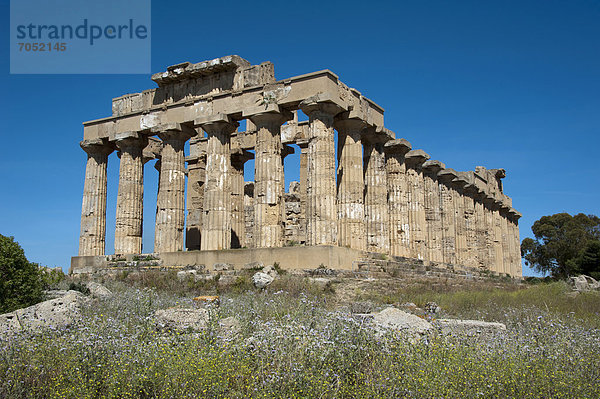 Griechischer Hera-Tempel  Tempel E  Tempio di Hera  Selinunt  Selinunte  Sizilien  Italien  Europa