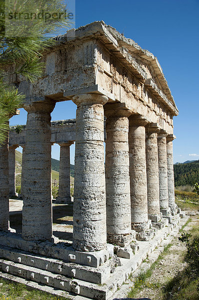 Dorischer Tempel der Elymer  Segesta  Provinz Trapani  Sizilien  Italien  Europa