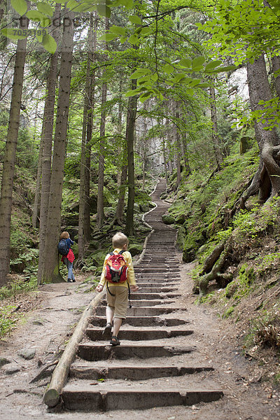 Treppe zu den Schwedenlöchern bei Rathen  Sächsische Schweiz  Sachsen  Deutschland  Europa