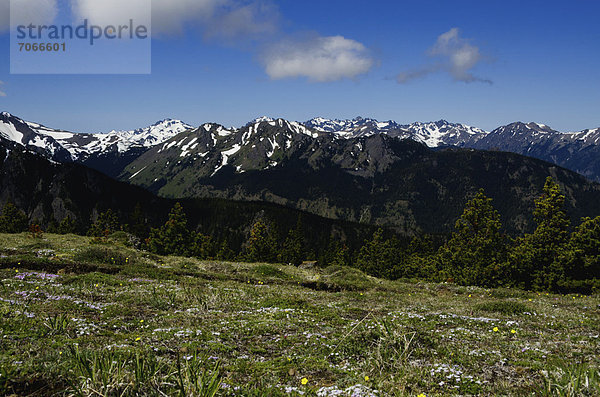 Blick auf die Berge