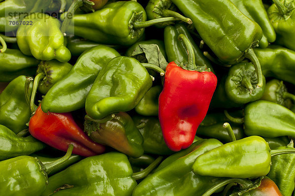 Rote und grüne Paprika  Wochenmarkt  Mallorca  Spanien  Europa