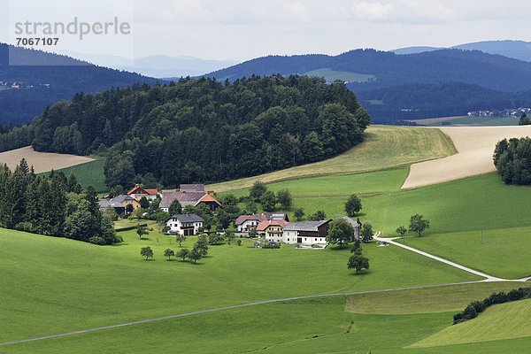 Pollmannsdorf  Gemeinde Pfarrkirchen im Mühlkreis  Mühlviertel  Oberösterreich  Österreich  Europa