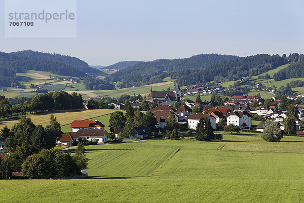 Aigen im Mühlkreis  Böhmerwald  Mühlviertel  Oberösterreich  Österreich  Europa