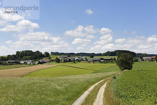 Hinterkönigschlag  Gemeinde Schenkenfelden  Mühlviertel  Oberösterreich  Österreich  Europa