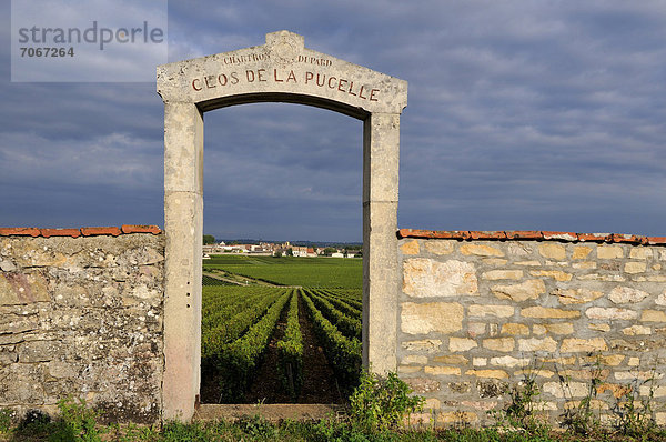 Torbogen von Clos de la Pucelle  Puligny Montrachet  Cote d'Or  Burgund  Frankreich  Europa