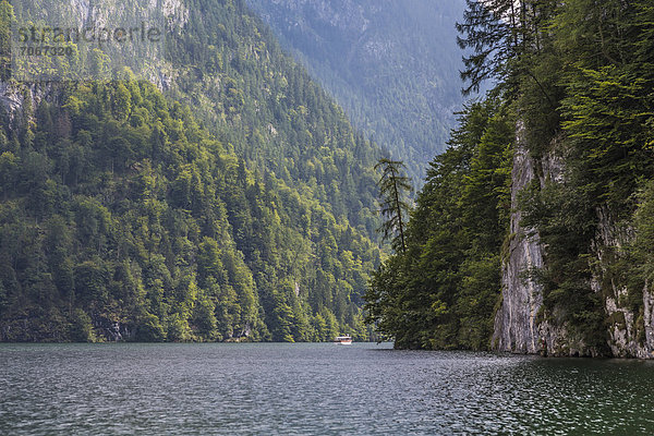 Königssee  Berchtesgaden  Berchtesgadener Land  Bayern  Deutschland  Europa