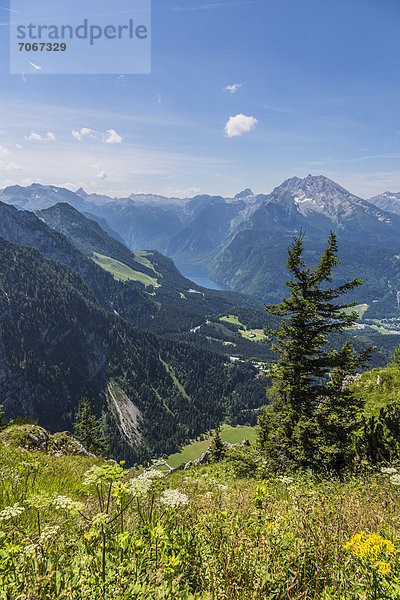 Königssee und Watzmann  2713 m  Aussicht vom Kehlsteinhaus auf die Alpen  Berchtesgadener Land  Bayern  Deutschland  Europa