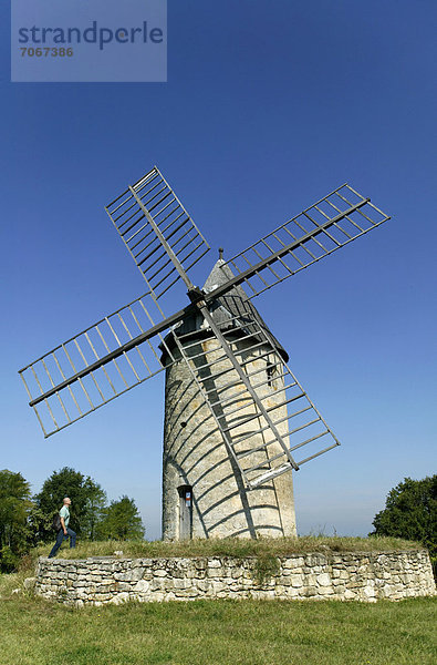 Windmühle  Chateau Calon  AOC Montagne Saint Emilion  Bordeaux Weinberg  Aquitanien  Frankreich  Europa