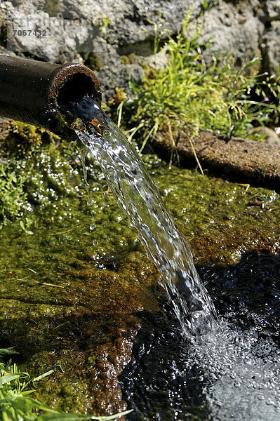 Brunnen im Frühling  Parc Naturel Regional du Livradois Forez  Regionaler Naturpark Livradois-Forez  Puy de Dome  Auvergne  Frankreich  Europa