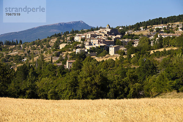 Blick auf die mittelalterliche Stadt Aurel  Vaucluse  Provence  Frankreich  Europa