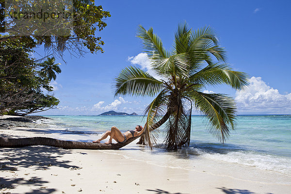 Frau liegt auf einer Kokospalme  Anse La Passe  Insel Silhouette  Seychellen  Afrika  Indischer Ozean