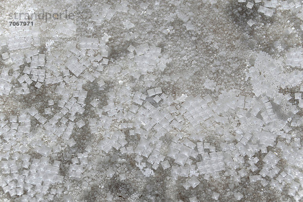 Salzkristalle schwimmen auf dünner Wasserschicht auf dem Salar de Uyuni  im Salz des Salzsees werden 85% der weltweiten Lithium-Vorräte vermutet  bei Uyuni  Altiplano  Bolivien  Südamerika