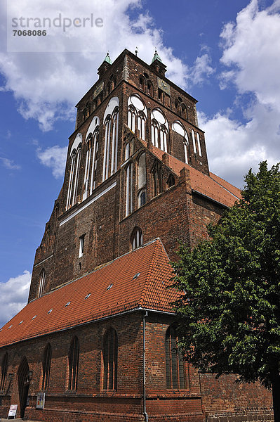 Turm der St. Marienkirche  eine der bedeutendsten Hallenkirchen der norddeutschen Backsteingotik  um 1335 vollendet  Brüggstr. 35  Greifswald  Mecklenburg-Vorpommern  Deutschland  Europa
