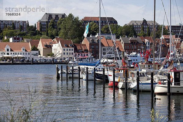 Yachthafen an der Schlei bei Flensburg  Schleswig-Holstein  Deutschland  Europa