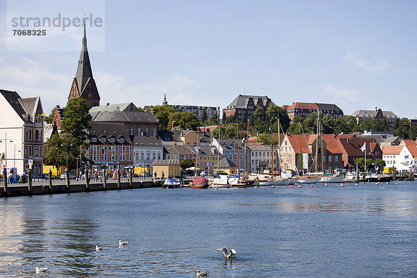 Stadtansicht Flensburg und die Schlei  Schleswig-Holstein  Deutschland  Europa