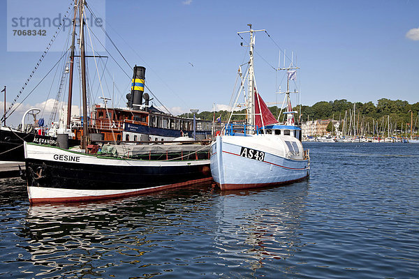 Motor-Frachtschiff Gesine im Historischen Hafen Flensburg  Schleswig-Holstein  Deutschland  Europa