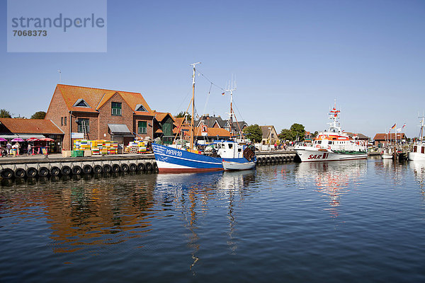 Hafen im Fischerdorf Maasholm  Schleswig-Holstein  Deutschland  Europa