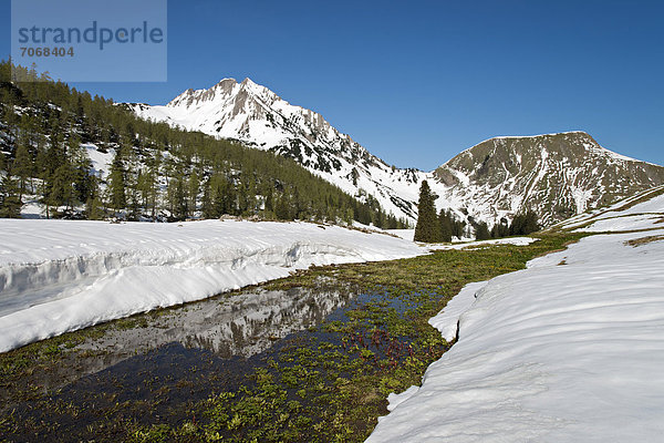 Schleimssattel  dahinter Mondscheinspitze  Karwendel-Gebirge  Tirol  Österreich  Europa