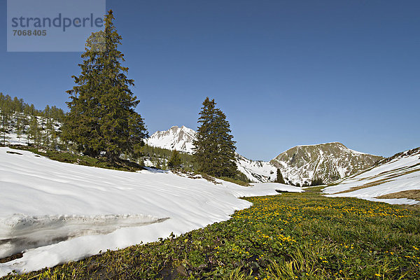 Schleimssattel  dahinter Mondscheinspitze  Karwendel-Gebirge  Tirol  Österreich  Europa