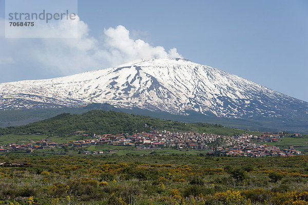 Vulkan Ätna  Maletto  Provinz Catania  Sizilien  Italien  Europa