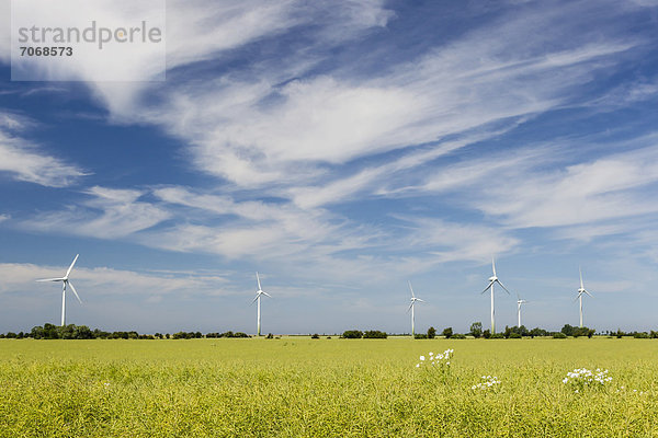 Windturbine Windrad Windräder Europa Feld Deutschland Schleswig Holstein