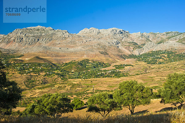 Berg Baum Individualität Landschaft Gebäude klein Feld Olive typisch Afrika Marokko