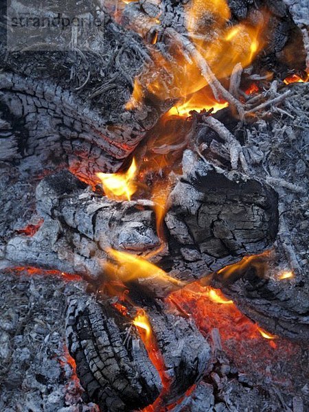 Feuer Flamme