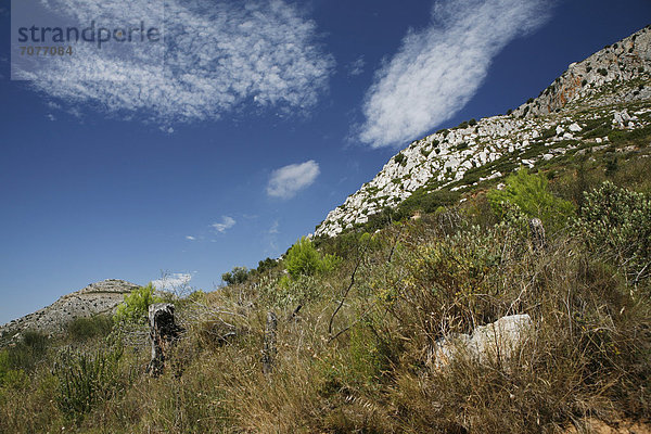 Landschaft bei Torroella de Montgri  Provinz Girona  Katalonien  Spanien  Europa