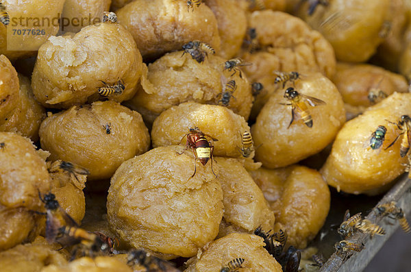 Mit Fliegen und Wespen ¸bersäte S¸ßigkeiten  zum Verkauf auf dem Markt in Allahabad  Indien  Asien